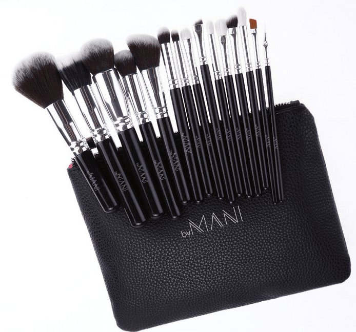 Make-up Brush Set 15-delig professioneel zwart